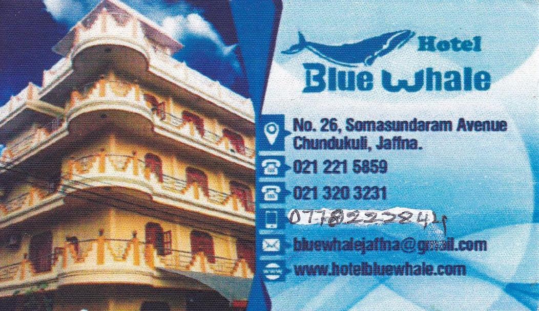 Hotel Blue Whale Dżafna Zewnętrze zdjęcie